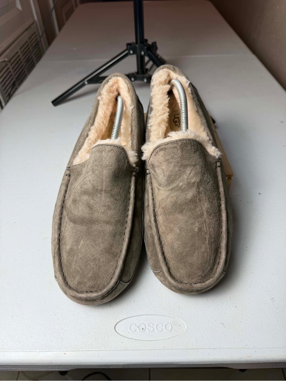 SOLD SOLD SOLD 🚩🚩🚩 NOT AVAILABLE - Picture 6 of 14
